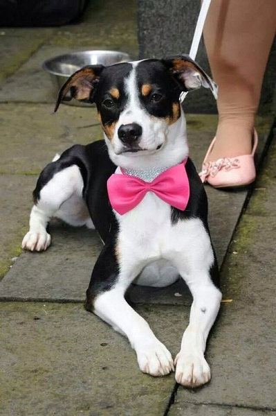 TylerHochzeit2.jpg
