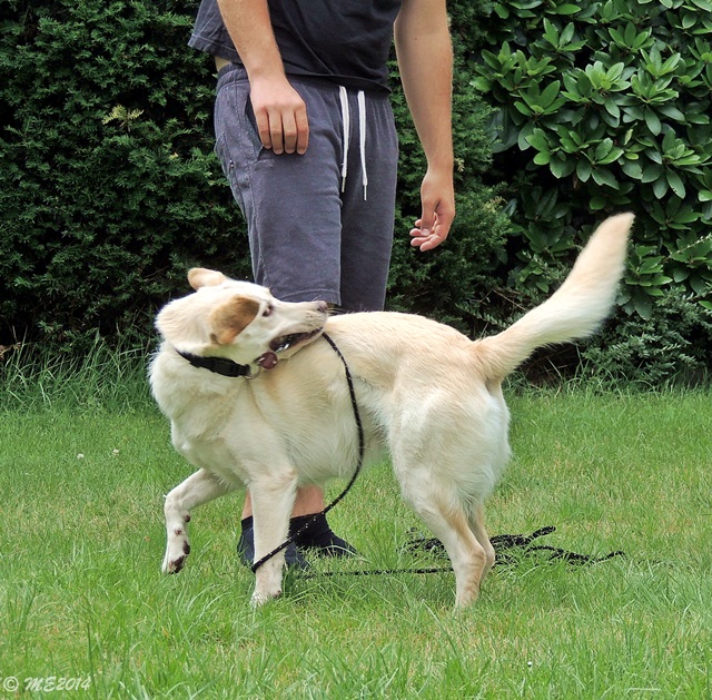 DSCN0191.JPG