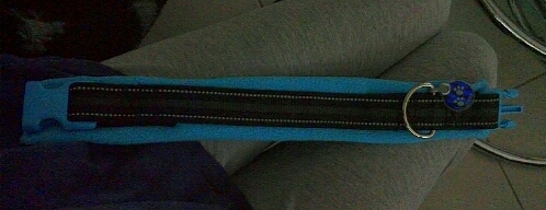 halsband.jpg