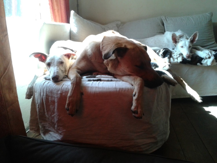 20140610_102737.jpg