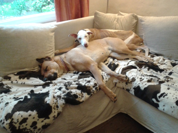 20140611_200757.jpg