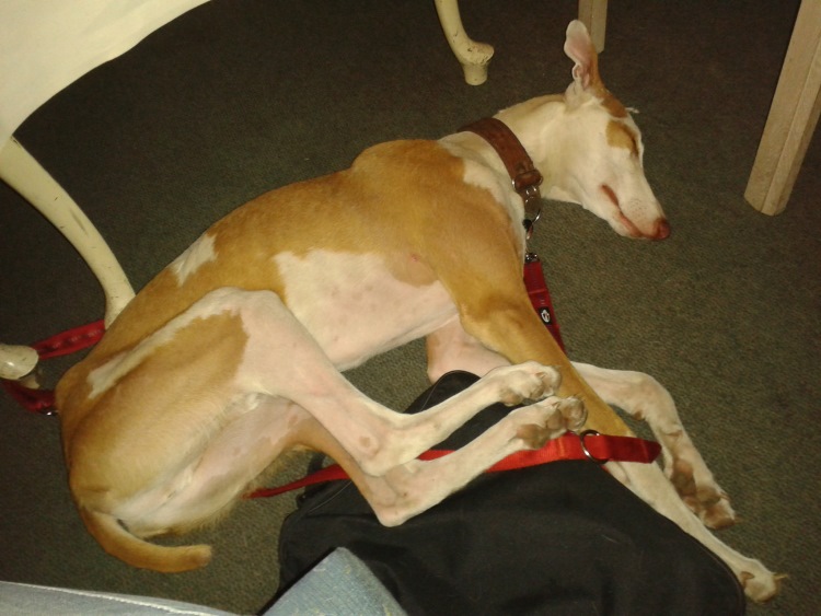 20140614_225916.jpg