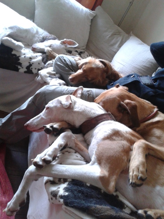 20140616_193946.jpg