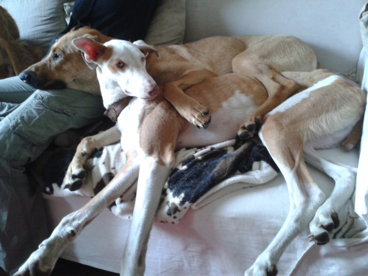 20140616_194424.jpg