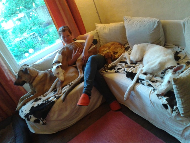 20140710_204217.jpg