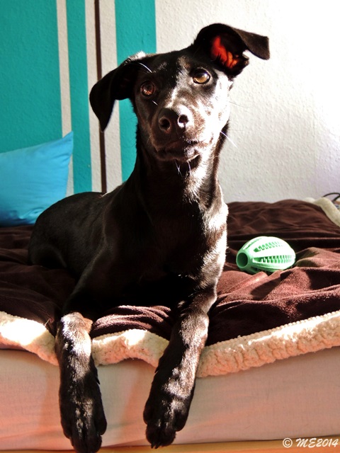 DSCN0252.JPG