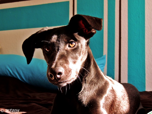 DSCN0255.JPG