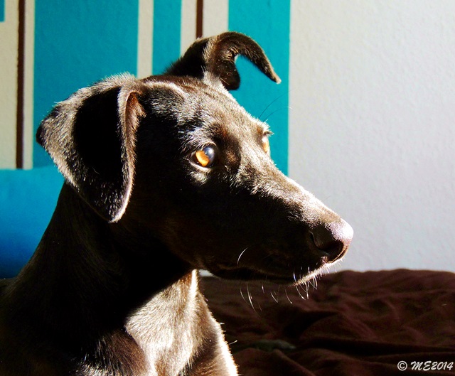 DSCN0261.JPG