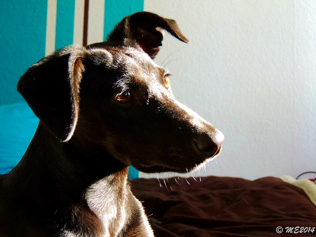 DSCN0262.JPG