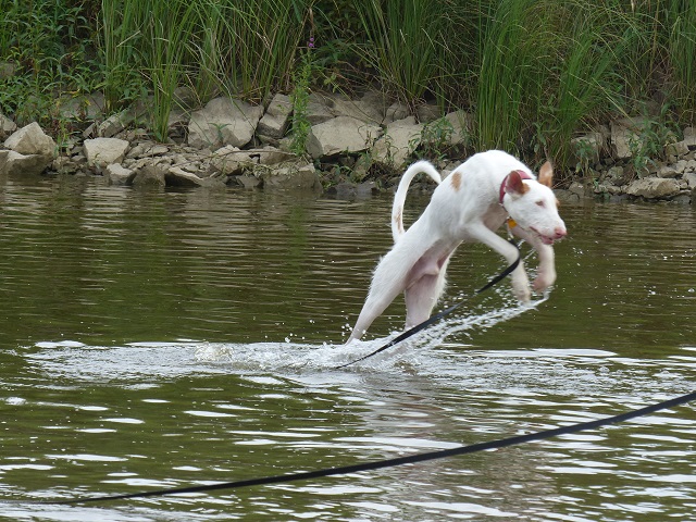 P1010627.JPG