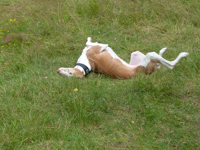 P1000241.JPG