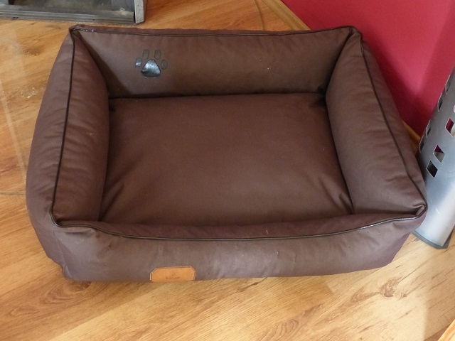 P1010946.JPG