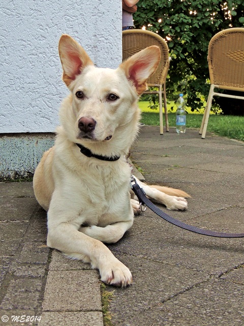 DSCN0292.JPG