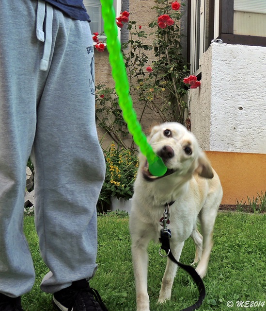 DSCN0360.JPG
