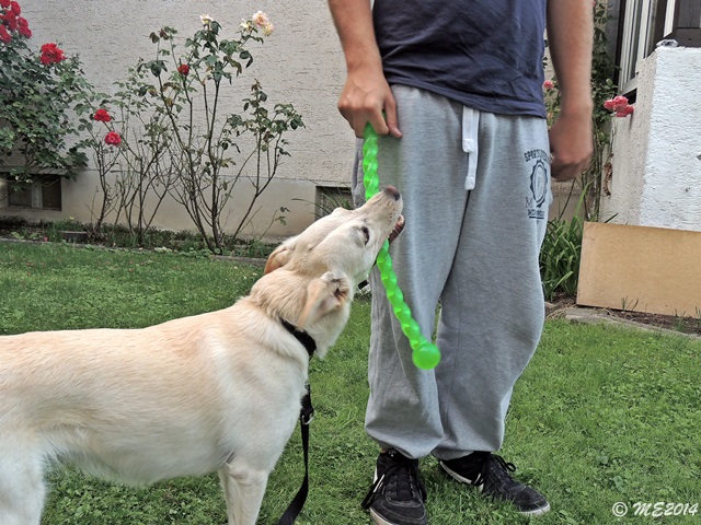 DSCN0373.JPG