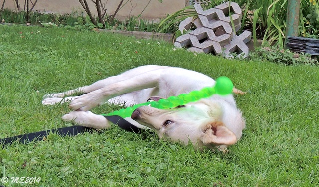 DSCN0404.JPG