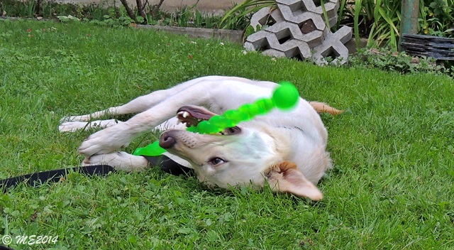 DSCN0406.JPG