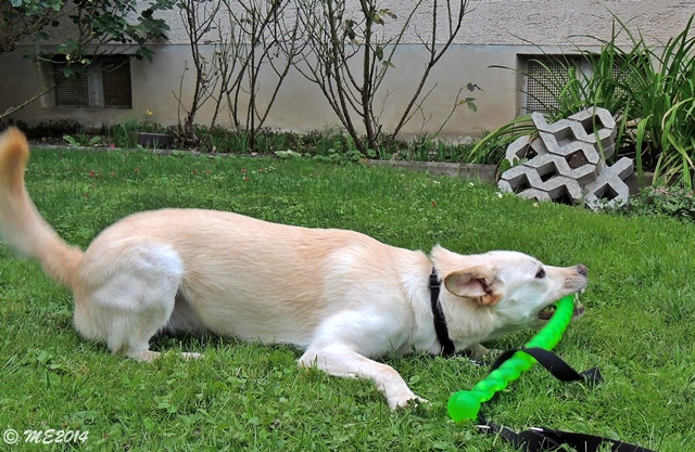 DSCN0410.JPG