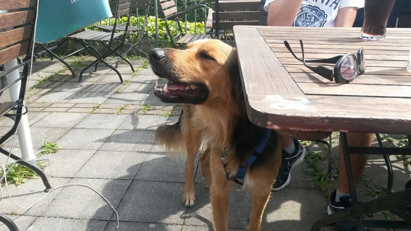 Samson11.JPG
