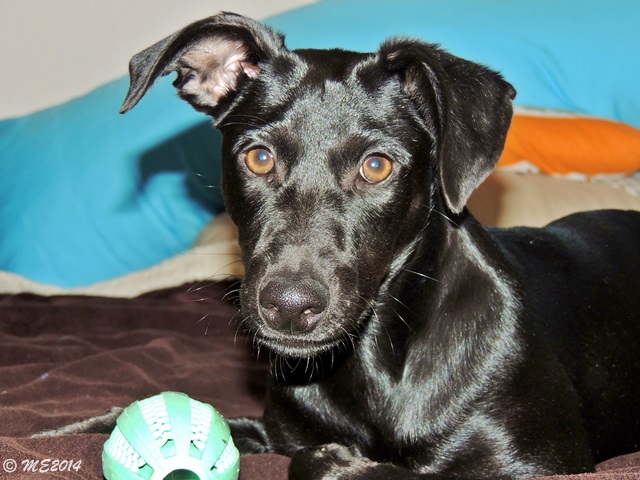 DSCN0739.JPG
