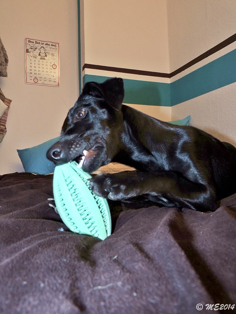 DSCN0760.JPG