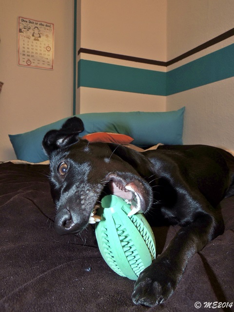 DSCN0761.JPG