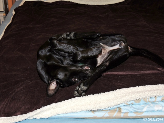 DSCN0762.JPG