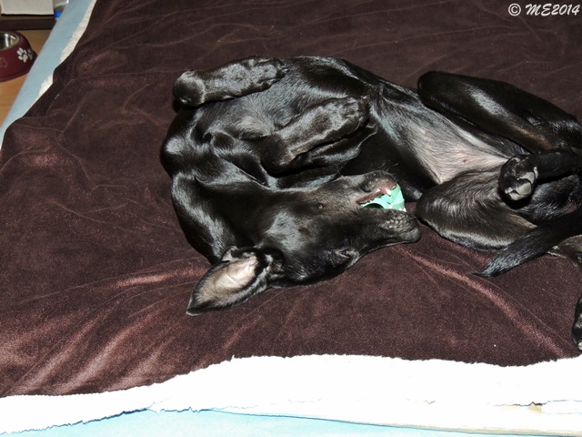 DSCN0763.JPG