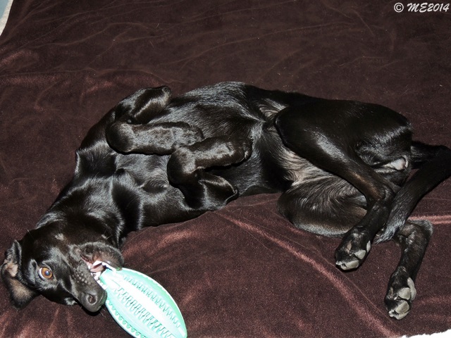 DSCN0764.JPG