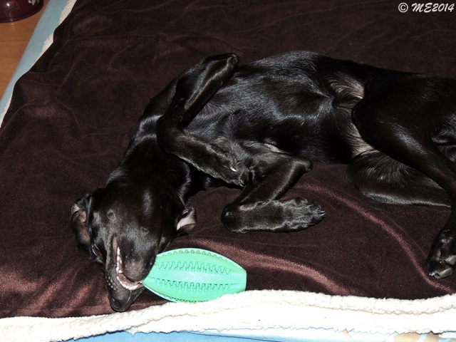 DSCN0765.JPG