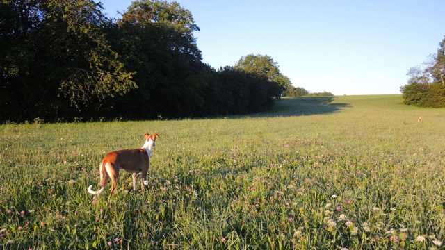 DSCN1128.jpg