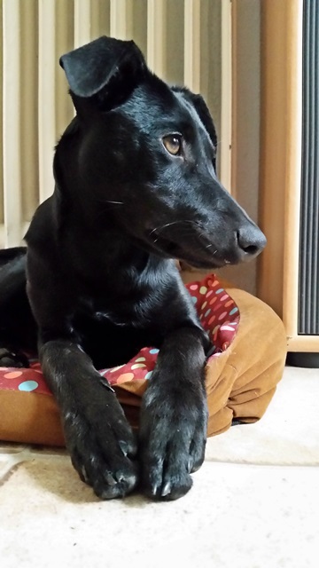 20140823_113031.jpg