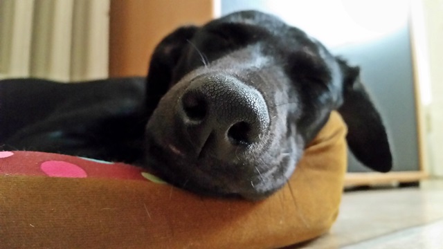 20140823_113353.jpg