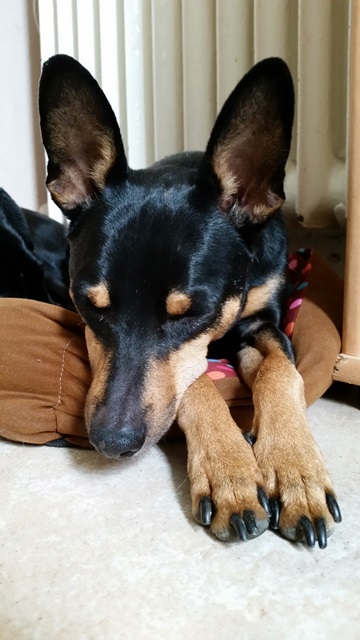 20140823_111452.jpg