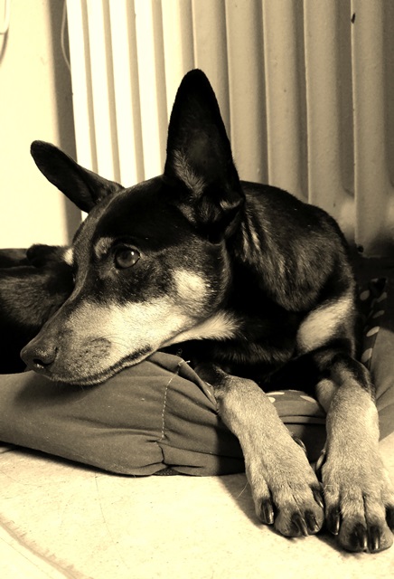 20140823_111614.jpg