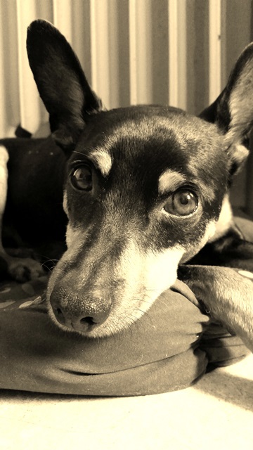 20140823_111653.jpg