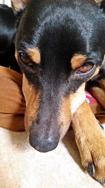 20140823_111857.jpg
