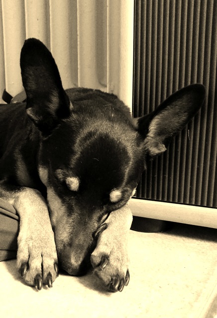 20140823_112410.jpg