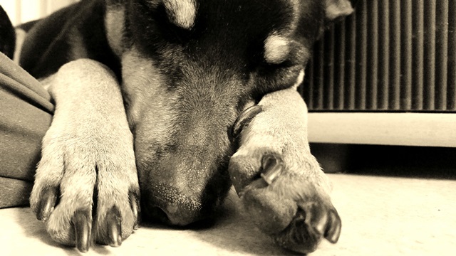 20140823_112447.jpg