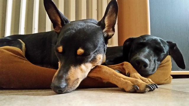 20140823_113308.jpg