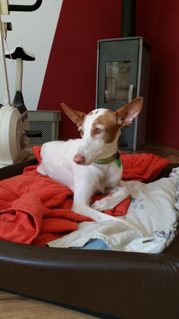 20140824_150236.jpg