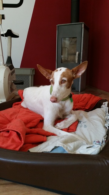 20140824_150237.jpg