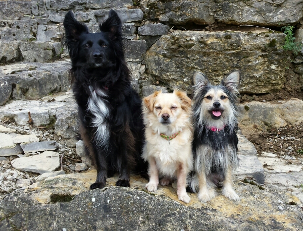 3 ♡.jpg