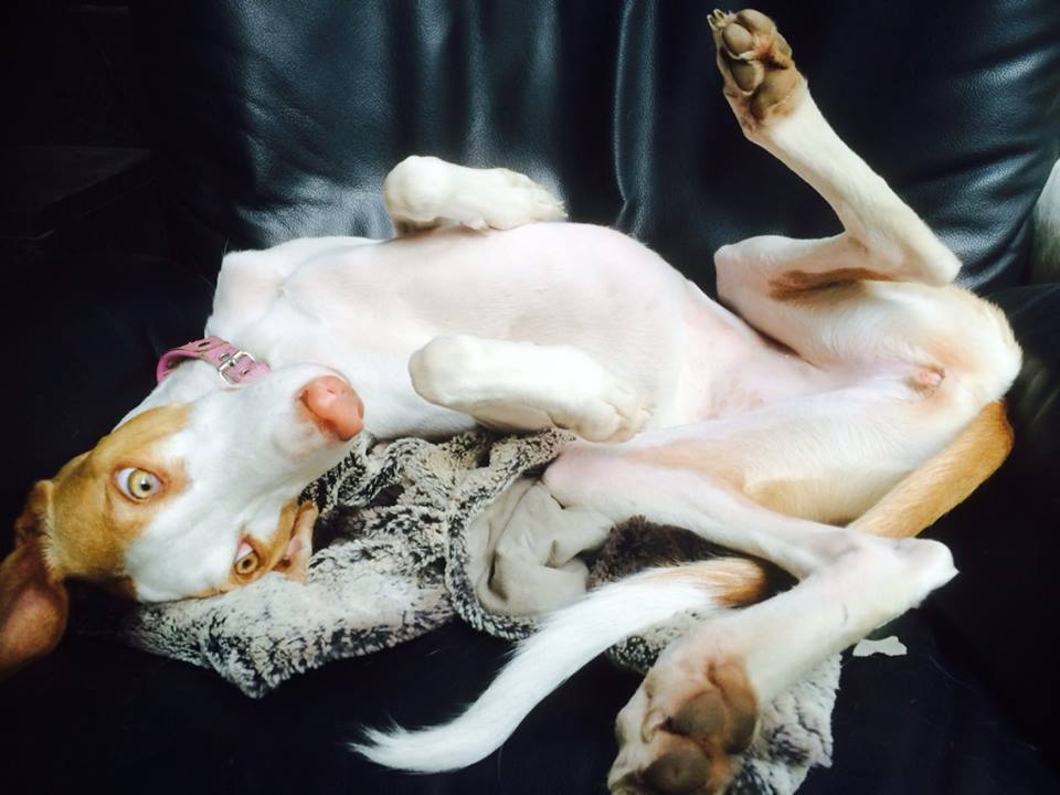 Skippy1.jpg
