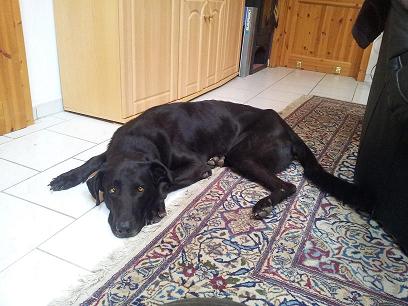 20140901_083504.JPG