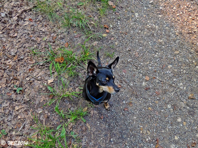 DSCN0955.JPG