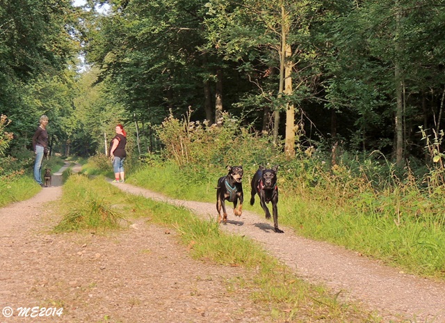 DSCN0974.JPG