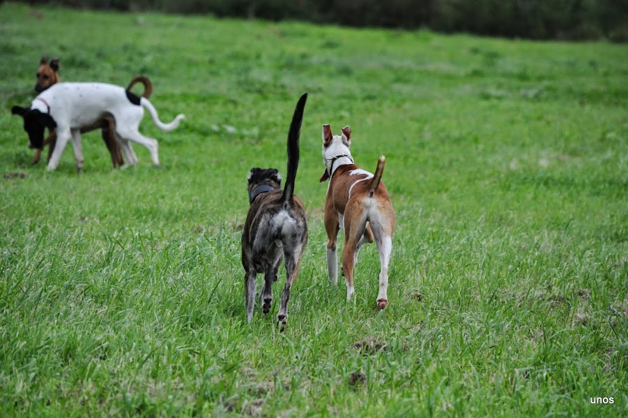 DSC_0779.JPG