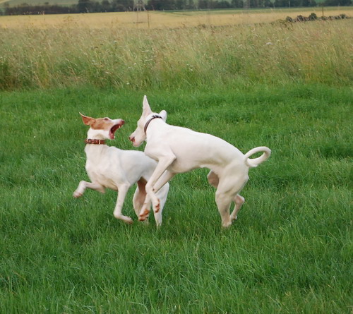 DSC_0639.jpg