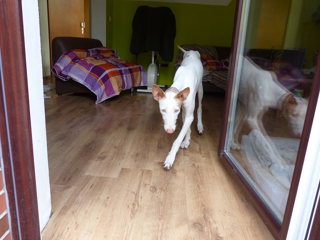 P1020119.JPG